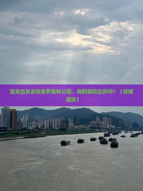 宜宾到张家界森林公园自由行