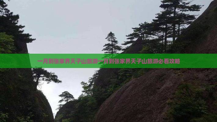 一月到张家界天子山旅游