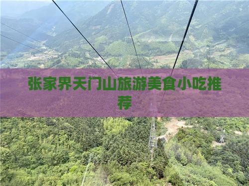 垦利到张家界天门山旅游小吃