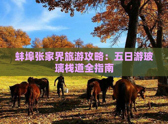 蚌埠去张家界玻璃栈道五日游 蚌埠去张家界玻璃栈道五日游