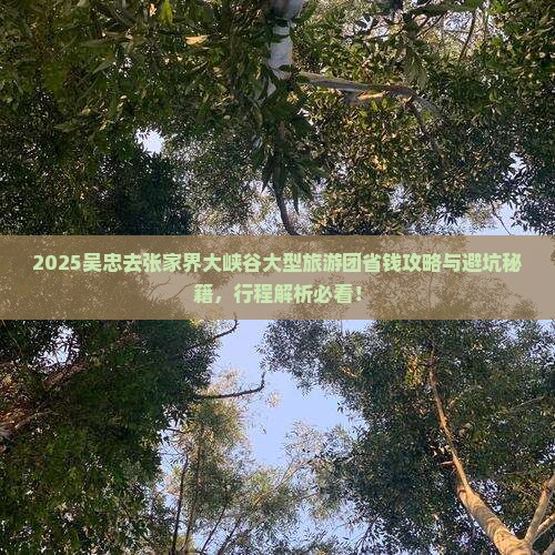 吴忠去张家界大峡谷大型旅游团