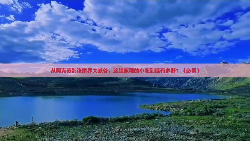阿克苏到张家界大峡谷旅游小吃