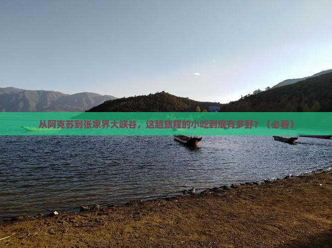 阿克苏到张家界大峡谷旅游小吃
