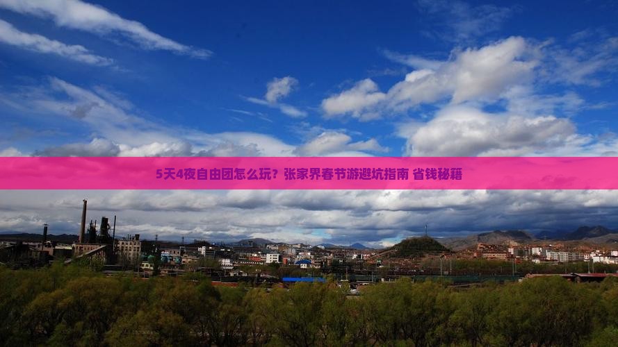 春节到张家界森林公园自由团