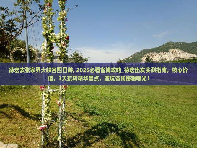 德宏去张家界大峡谷四日游