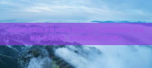 新余到张家界大峡谷哪里玩