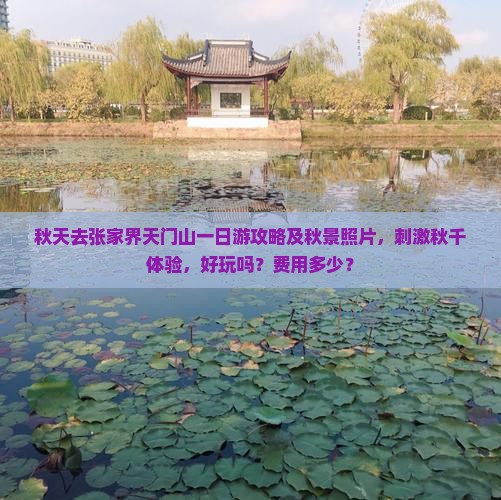 秋天去张家界天门山一日