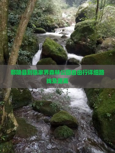 鄢陵县到张家界森林公园自由行详细路线及距离