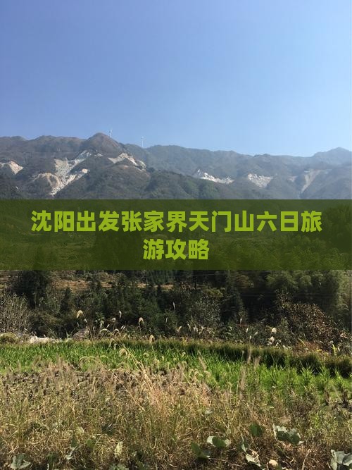 沈阳出发张家界天门山六日旅游攻略