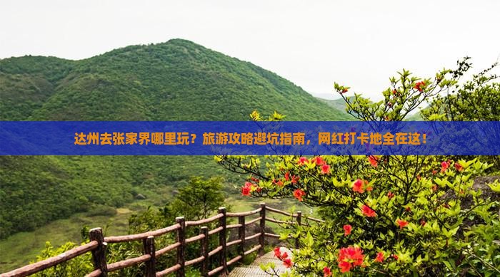 达州去张家界哪里玩？旅游攻略避坑指南，网红打卡地全在这！