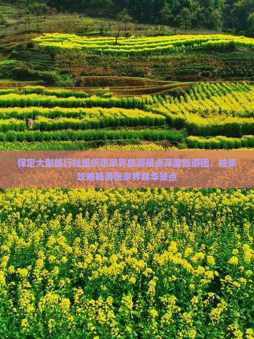 保定大型旅行社组织张家界旅游景点深度旅游团，独家攻略畅游张家界精华景点