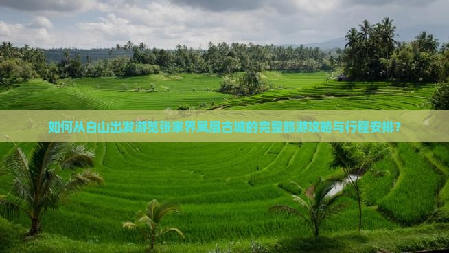 如何从白山出发游览张家界凤凰古城的完整旅游攻略与行程安排？