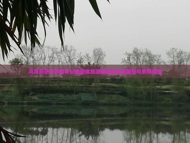 乌海到张家界森林公园团体旅游攻略及自驾路线与费用指南