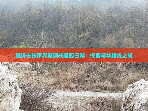 临沂去张家界玻璃栈道四日游：探索精华路线之旅