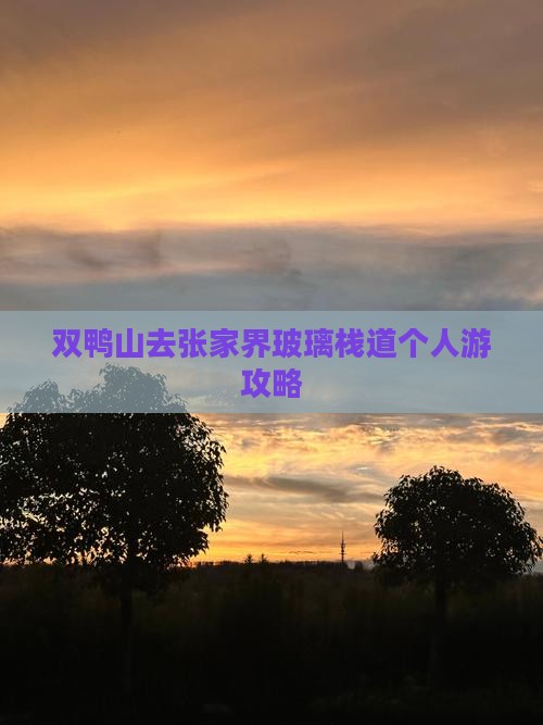 双鸭山去张家界玻璃栈道个人游攻略