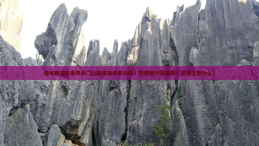 佳木斯去张家界天门山团体旅游多少钱？有哪些行程推荐？需要注意什么？