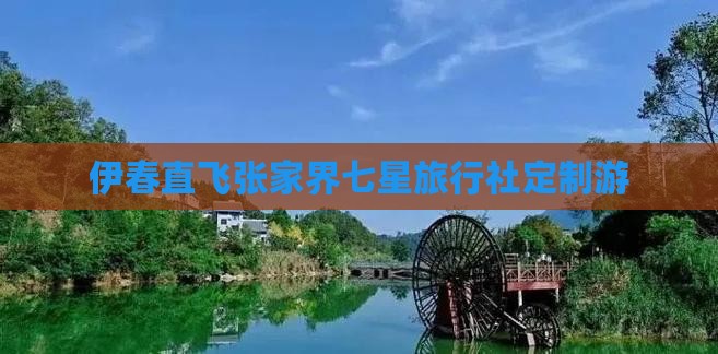 伊春直飞张家界七星旅行社定制游
