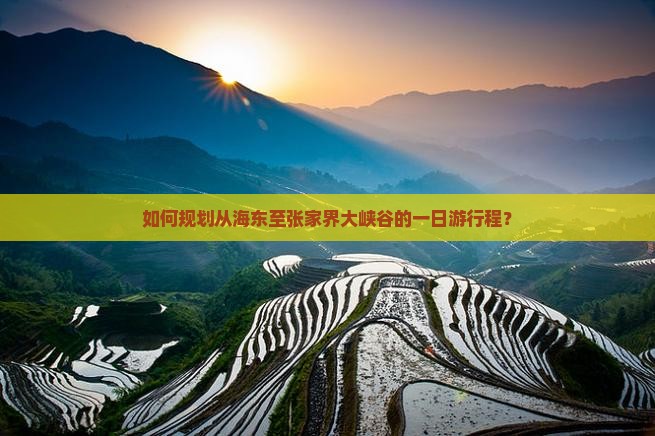 如何规划从海东至张家界大峡谷的一日游行程？
