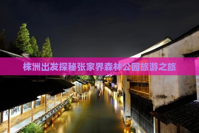 株洲出发探秘张家界森林公园旅游之旅