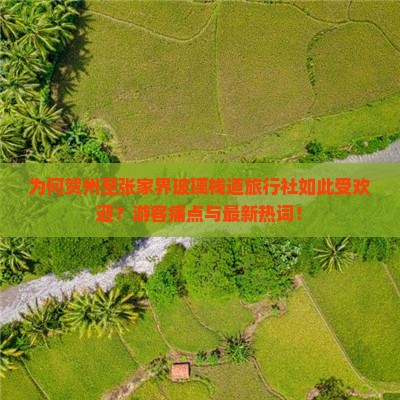 为何贺州至张家界玻璃栈道旅行社如此受欢迎？游客痛点与最新热词！