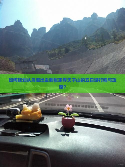如何规划从乌海出发到张家界天子山的五日游行程与攻略？