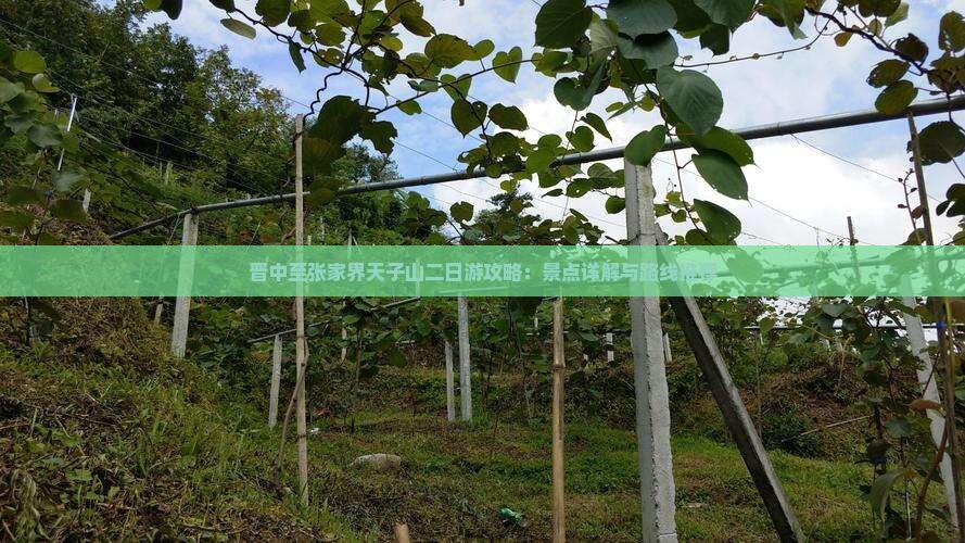 晋中至张家界天子山二日游攻略：景点详解与路线推荐