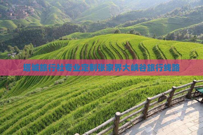 塔城旅行社专业定制张家界大峡谷旅行线路