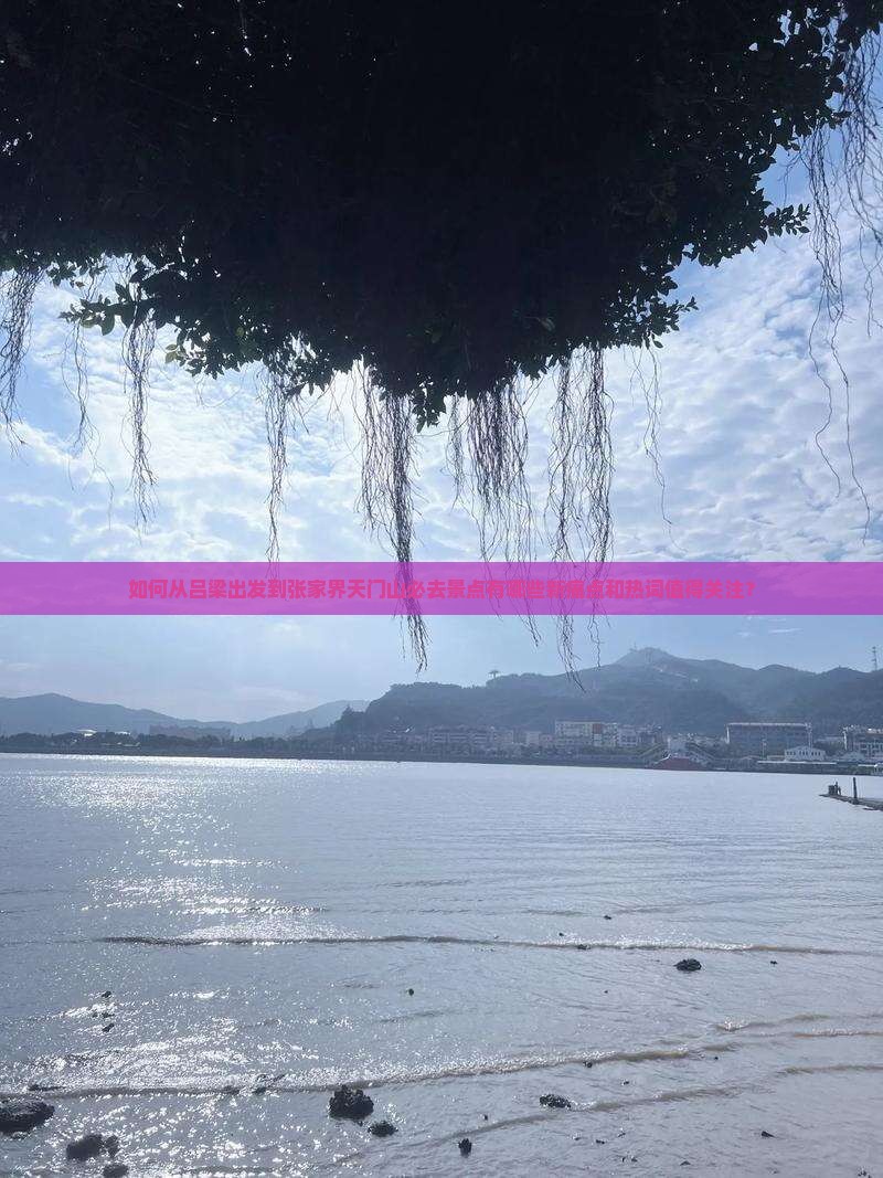 如何从吕梁出发到张家界天门山必去景点有哪些新痛点和热词值得关注？
