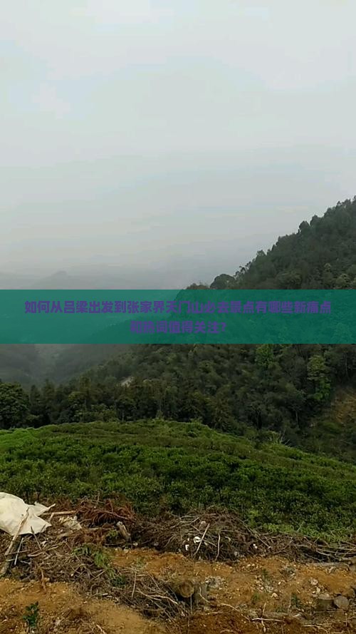 如何从吕梁出发到张家界天门山必去景点有哪些新痛点和热词值得关注？