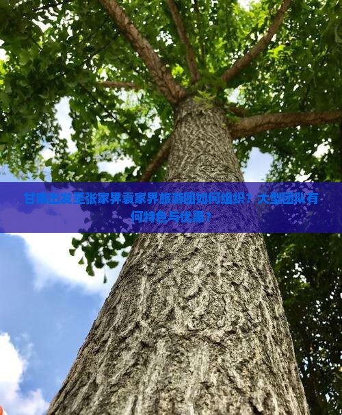 甘南出发至张家界袁家界旅游团如何组织？大型团队有何特色与优惠？