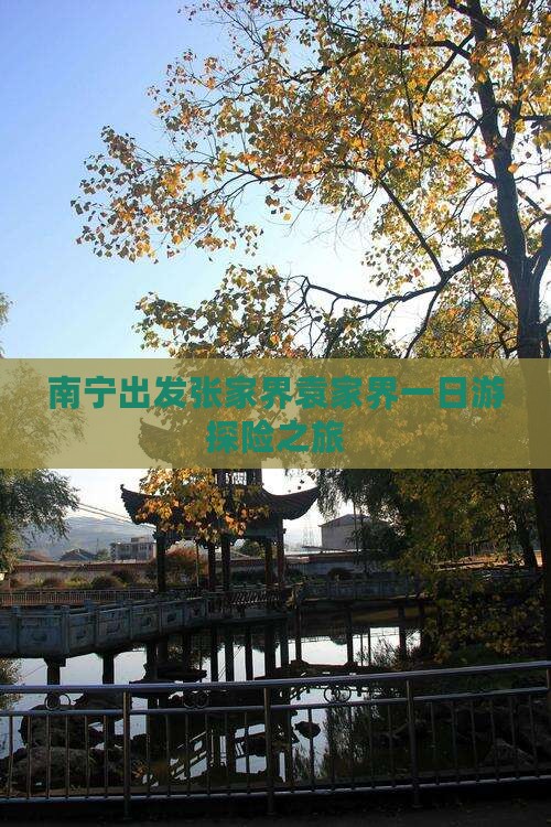 南宁出发张家界袁家界一日游探险之旅
