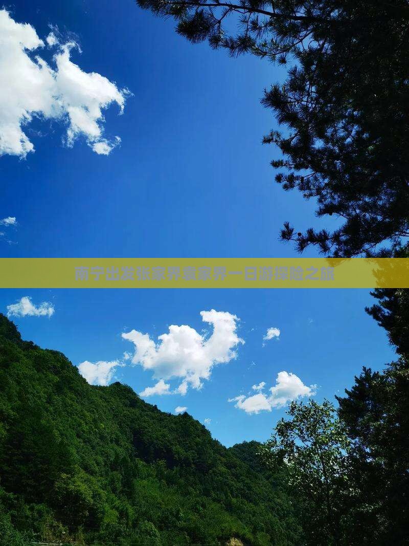 南宁出发张家界袁家界一日游探险之旅