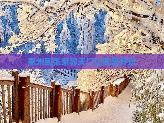 惠州到张家界天门山哪里好玩