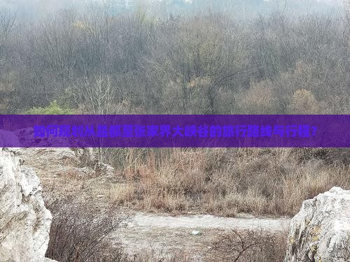 如何规划从昌都至张家界大峡谷的旅行路线与行程？