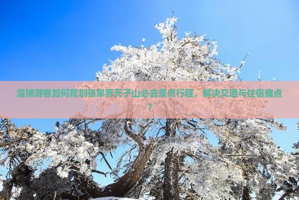淄博游客如何规划张家界天子山必去景点行程，解决交通与住宿痛点？