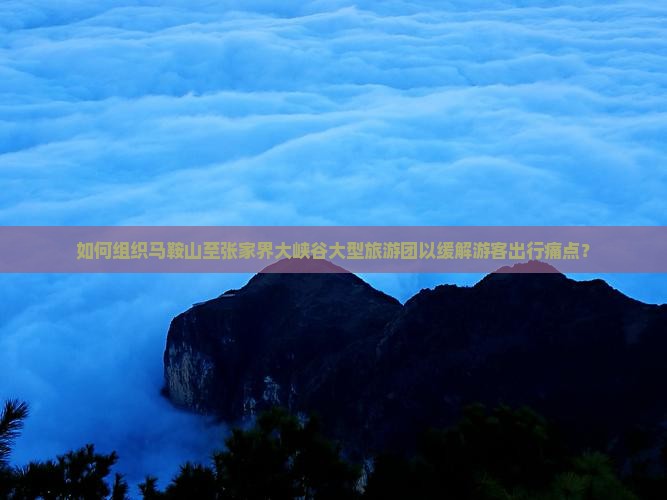 如何组织马鞍山至张家界大峡谷大型旅游团以缓解游客出行痛点？