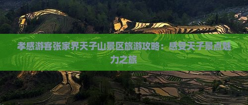 孝感游客张家界天子山景区旅游攻略：感受天子景点魅力之旅