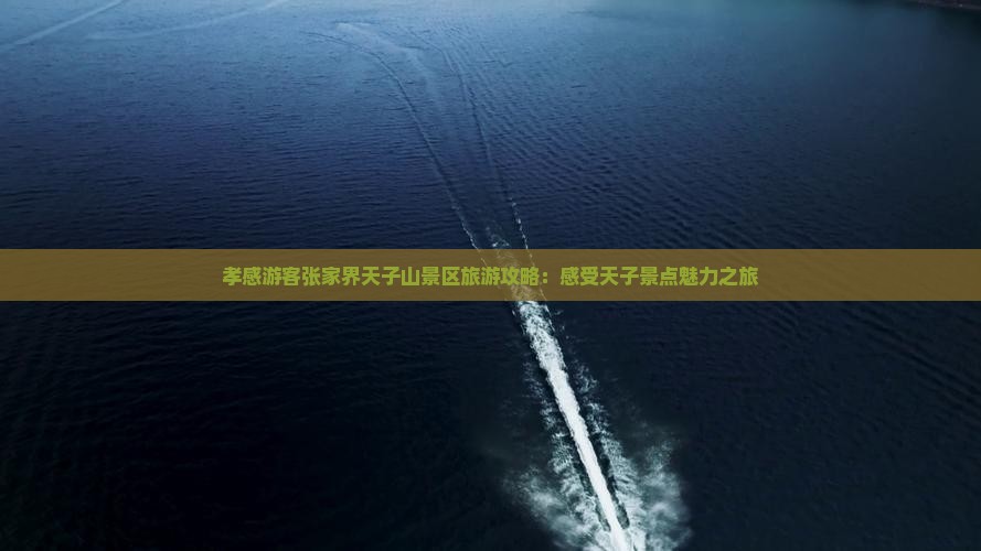 孝感游客张家界天子山景区旅游攻略：感受天子景点魅力之旅