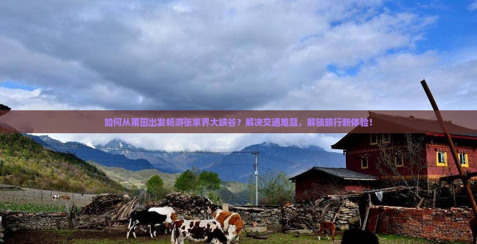 如何从莆田出发畅游张家界大峡谷？解决交通难题，解锁旅行新体验！