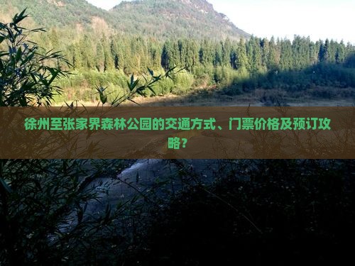 徐州至张家界森林公园的交通方式、门票价格及预订攻略？