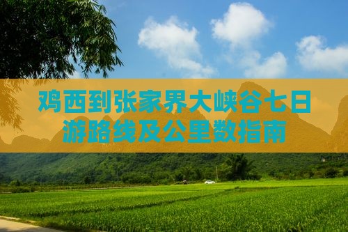 鸡西到张家界大峡谷七日游路线及公里数指南