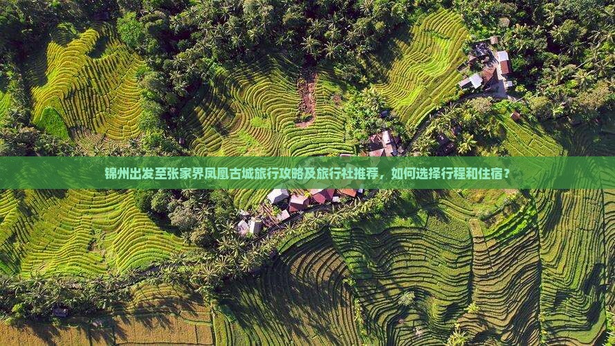 锦州出发至张家界凤凰古城旅行攻略及旅行社推荐，如何选择行程和住宿？