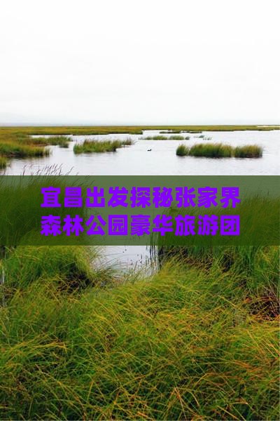 宜昌出发探秘张家界森林公园豪华旅游团