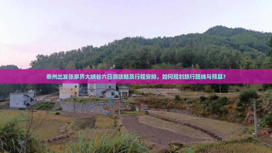 泰州出发张家界大峡谷六日游攻略及行程安排，如何规划旅行路线与预算？