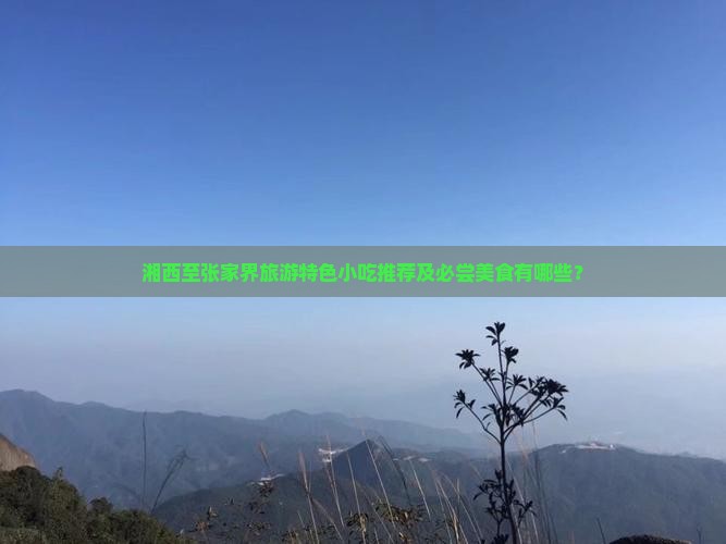 湘西至张家界旅游特色小吃推荐及必尝美食有哪些？