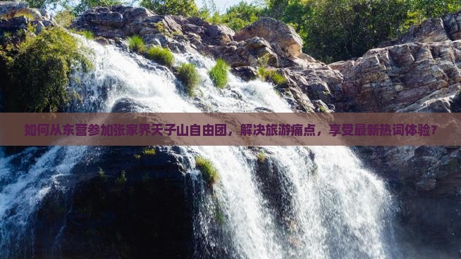 如何从东营参加张家界天子山自由团，解决旅游痛点，享受最新热词体验？