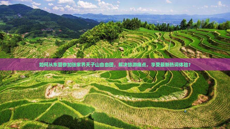 如何从东营参加张家界天子山自由团，解决旅游痛点，享受最新热词体验？