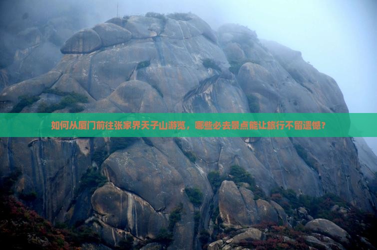 如何从厦门前往张家界天子山游览，哪些必去景点能让旅行不留遗憾？