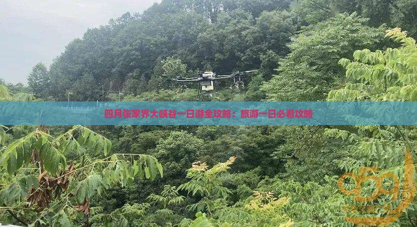 四月张家界大峡谷一日游全攻略：旅游一日必看攻略