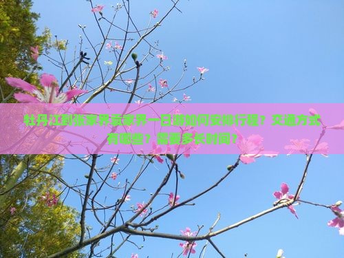牡丹江到张家界袁家界一日游如何安排行程？交通方式有哪些？需要多长时间？